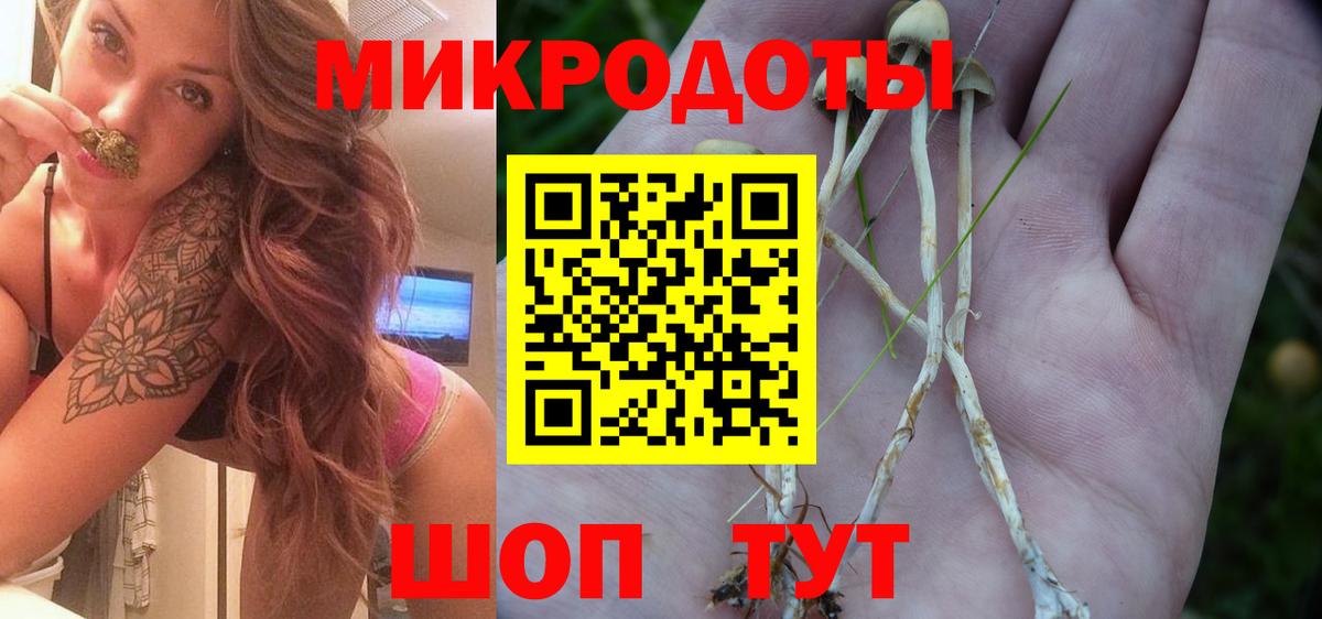 Озёры  Псилоцибиновые грибы мухоморы  Вход с VPN 